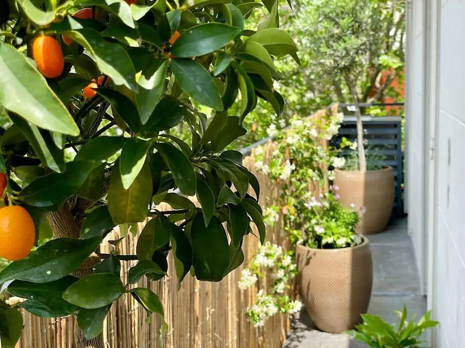 Loft Chic & Cosy, 9, Anvers - Montmartre